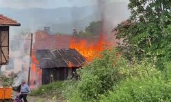 Çıkan yangında samanlık ve iki ev yandı