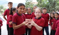 Amasya'da "Geleneksel Çocuk Oyunları Şenliği" düzenlendi