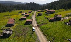 Baharın tüm renklerini barındıran Araç yaylaları