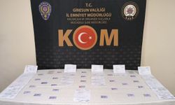 Giresun'da sahte sürücü belgesi operasyonunda bir kişi tutuklandı