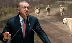 Bomba iddia! Cumhurbaşkanı Erdoğan: Daha ne bekliyorsunuz, adım atın!