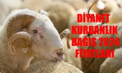 Diyanet Kurbanlık Bağış 2024 Fiyatları: Diyanet Kurban Bağış Fiyatları Ne Kadar Oldu?