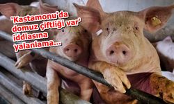 Kastamonu'da domuz çiftliği yok...!