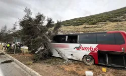 Yolcu otobüsü kontrolden çıkıp kaza yaptı: 11 yaralı!