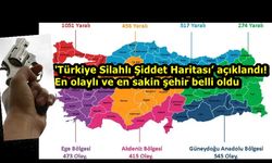 Şiddeti seviyoruz! Kastamonu'nun şiddet haritası çıkarıldı! Vuruyoruz, vuruluyoruz! Notumuz hiç iyi değil!