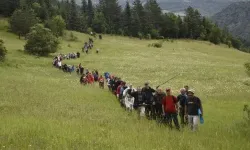 Kastamonu'da Atatürk ve İstiklal Yolu Yürüyüşü düzenlenecek