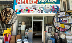 Taşköprü’de sektöründe yeni bir nefes: Melike Züccaciye, Halı & Ev Tekstil Taşköprü’de hizmete açıldı