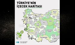 Türkiye’nin içecek haritası açıklandı! Kastamonulular inandırıcı bulmadı!