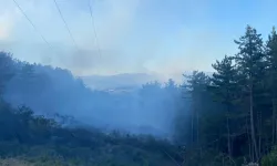 Taşköprü’de ormanlık alanda yangın! İzinli itfaiye personeli de göreve çağırıldı!