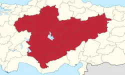 Bu hayvan sinirlenirse kafasını içeride bırakıyor! Kastamonu da, Çorum da, Çankırı da, Sivas da, Erzurum da acil uyarı!