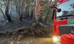 Kastamonu'dan yine yangın haberi: Koçcuğaz'a düşen yıldırım yangına sebep oldu!