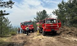 Kastamonu Valisinden Açıklama: 2 orman yangını kontrol altına alındı!