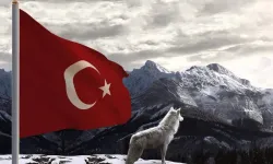 Bozkurt Ne İşareti? Bozkurt Türk Tarihinde Ne Anlama Geliyor? (Bozkurt'un Mitolojideki Yeri)