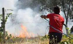 Kastamonu'da yangın çıktı! Tarım arazisi kül oldu! (2024 Temmuz)