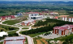 Kastamonu Üniversitesi'nin Projesi Buzağı Ölümlerini Azaltacak