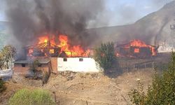 Kastamonu'da ev ve orman yangınlarına karşı toplu mücadele başlatıldı! (2024 Temmuz)