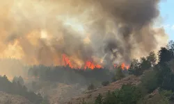Kastamonu'da Orman Yangını! Ekipler Seferber Oldu