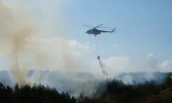 Kastamonu'da orman yangını söndürülemedi! Çalışmalar devam ediyor!