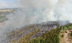 Kastamonu’da Orman Yangınına Hızlı Müdahale! Havadan ve Karadan Söndürme Çalışmaları Sürüyor