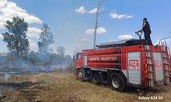 Taşköprü'de yine yangın çıktı: Uyarılar işe yaramıyor, tarlalardan ateş yükseliyor! (2024 Temmuz)