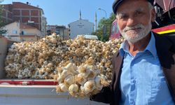 Taşköprü’de sarımsak pazarı çok hareketlendi: Pazarda sarımsak fiyatları netleşti!