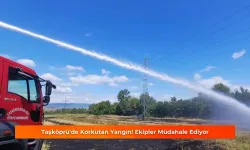 Taşköprü'de Korkutan Yangın! Ekipler Müdahale Ediyor