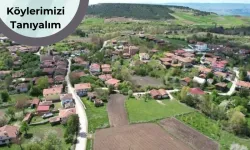 Taşköprü’nün Bilim Merkezi Alisaray Köyü: Alisaray Köyü Nerede? Alisaray Köyünün Hikayesi Nedir?
