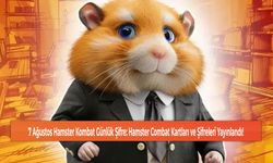 7 Ağustos Hamster Kombat Günlük Şifre: Hamster Combat Kartları ve Şifreleri Yayınlandı!