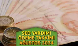 Aile Destek Ödemesi Ağustos 2024: Aile Destek Ödemesi Yattı mı, Ne Zaman Yatacak?