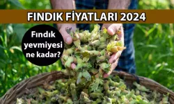 2024 Fındık Alım Fiyatı Ne Kadar? Fındık Fiyatları Kaç TL?