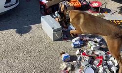 Şeytanın aklına gelmez: Kastamonu'da narkotik köpeği buldu! Şüpheli serbest bırakıldı! (görüntülü haber)