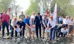 Kastamonu’da Binlerce Alabalık Devrekani Çayı'na Salındı