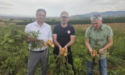 Tarım ve Orman Bakanlığı’ndan Taşköprü’ye Ziyaret: Kenevir üretim alanları incelendi!