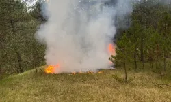 Kastamonu’da da yasaklandı mı? Ormana girişler yasaklandı!