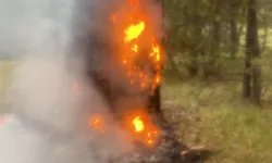 Kastamonu'da yıldırım düştü, yangın çıktı!