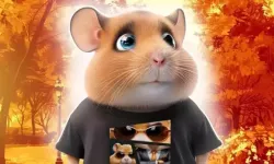 Hamster Kombat Günlük Şifre 17 Eylül 2024:  Hamster Kombat Günlük Kombo Kartları Açıklandı!