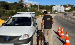 Kastamonu'da yolları kestiler: Aramalara Narko köpekte katıldı