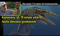 Kastamonu'da 70 milyon yıllık dinozor fosili buldu: Türkiye'de başka bir örneği yok, dünyada 7 tane!