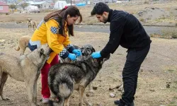 Kastamonu İl Sağlık Müdürü açıkladı: Her yıl 60 bin kişiyi canından ediyor!