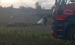 Taşköprü'de yangın çıktı: Yaz boyunca ders almadık!