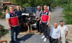 Kastamonu'daki yangında 3 hayvanını kaybetti: Yerine yenileri teslim edildi!