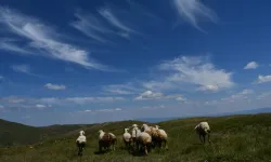 Kastamonu’daki yaylalar, güzelliği ile mest etmeye devam ediyor