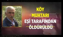 Ilgaz'da cinayet: Köy muhtarı, eşi tarafından vuruldu!