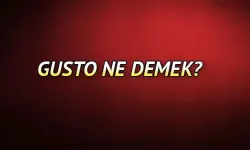 Gusto Ne Demek? Gusto Sahibi Ne Demek? Gustosuz Kimlere Denir?