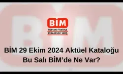 BİM 29 Ekim 2024 Aktüel Kataloğu: Bu Salı BİM’de Ne Var?