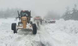 Kastamonu'ya kar geri geliyor: Hafta sonu dikkatli olun!