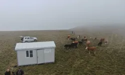 Kastamonu'da 10 yere yerleştirildi! Çobanlık mesleğini cazip hale getiriyor