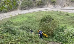 Kastamonu'da ağaçtan düştü! 3 saat süren çaba ile hastaneye ulaştırılabildi!