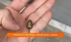 Kastamonu’da yorgun mermi korku yarattı!