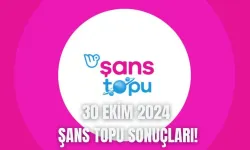 Şans Topu Çekiliş Sonuçları 30 Ekim 2024: Şans Topu Sonuçları ve Sorgulama Ekranı